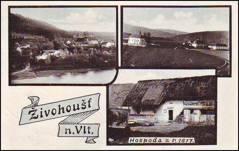 Živohošť 1915